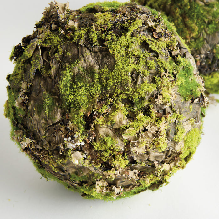 Mossy Lichen Orbs 8" St/2 - View 3