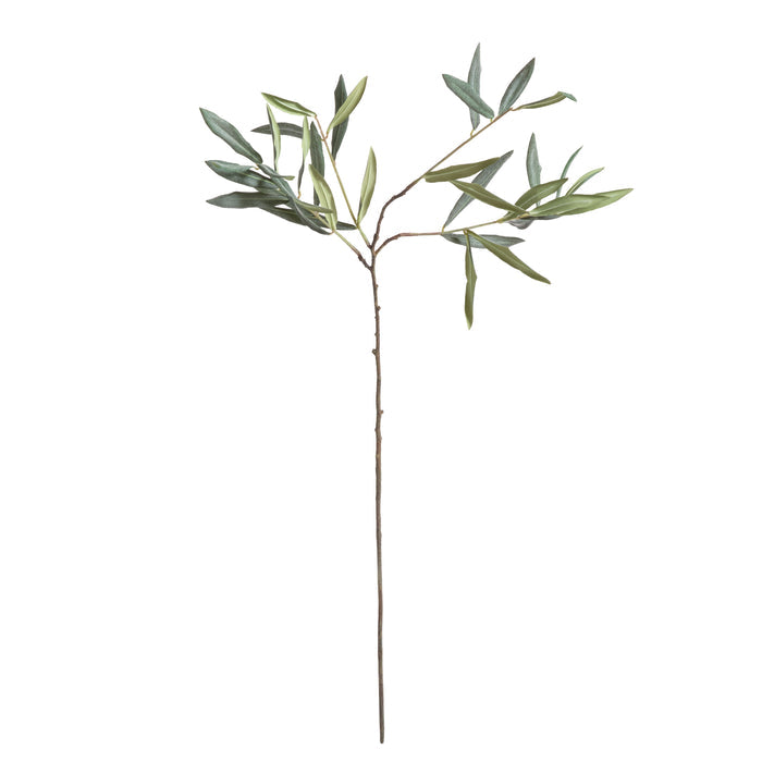 Olive Stems 30", Set Of 4