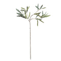 Olive Stems 30", Set Of 4