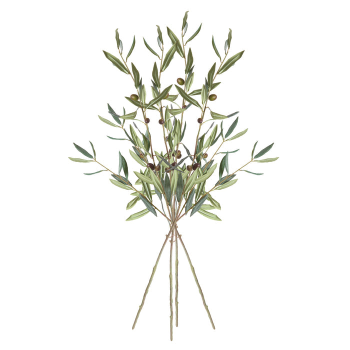 Olive Stems With Olives 32", Set Of 4 - View 2