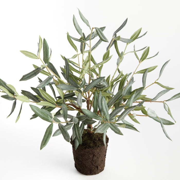 Olive Tree Drop-In 17.5" - View 2