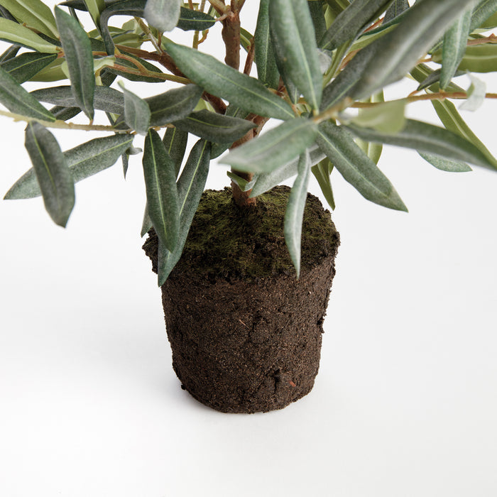 Olive Tree Drop-In 17.5" - View 4