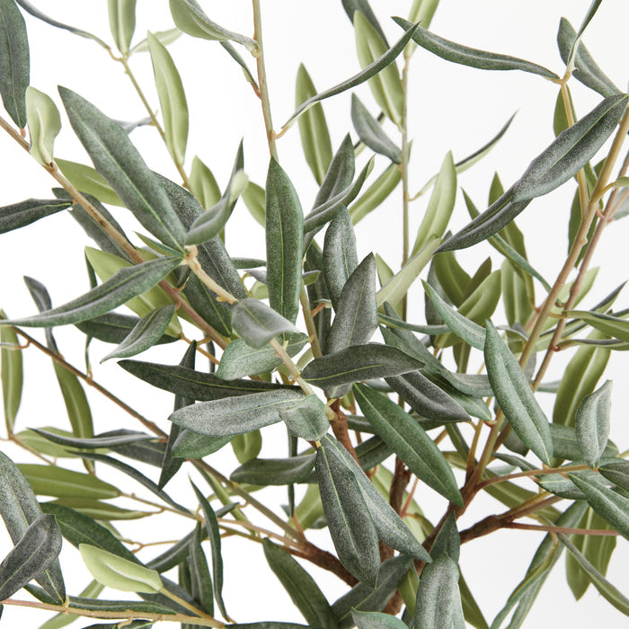 Olive Tree Drop-In 26" - View 3