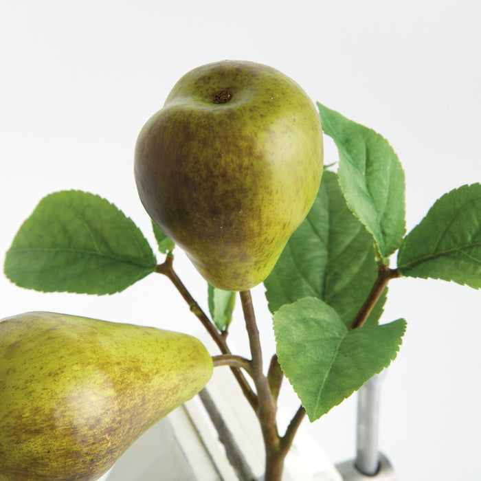 Pear Picks 9.5" St/4 - View 5