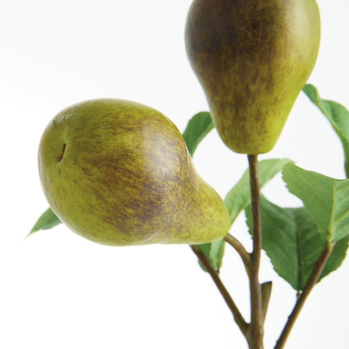 Pear Picks 9.5" St/4 - View 6