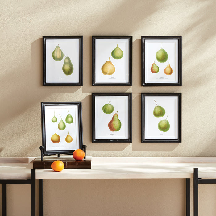 Pear Study, Set Of 6 - View 4