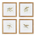 Perching Bird Study Petite, Set Of 4