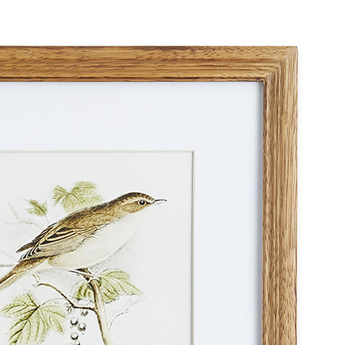 Perching Bird Study Petite, Set Of 4 - View 3