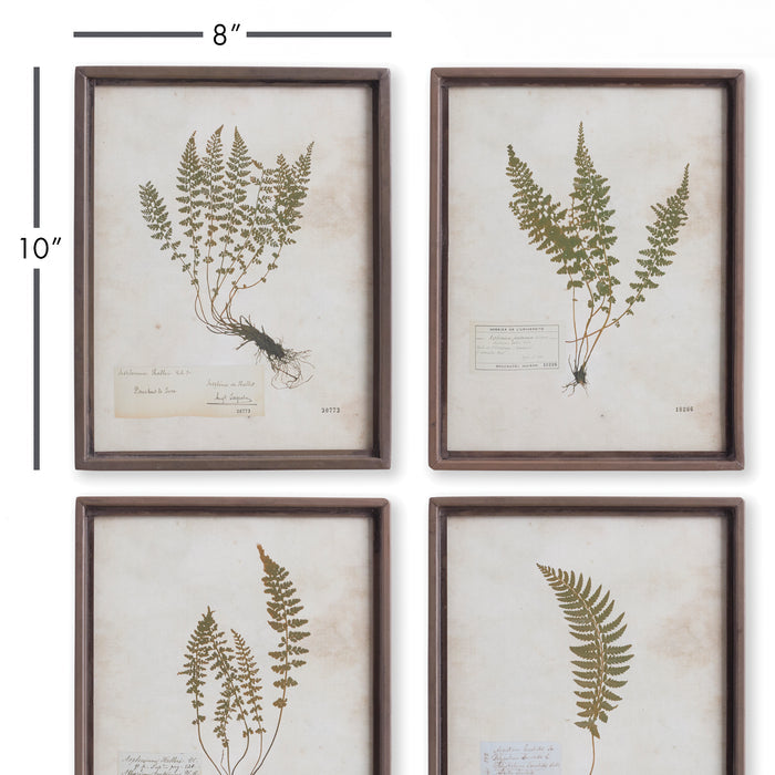 Petite Frond Prints, Set Of 4 - View 2