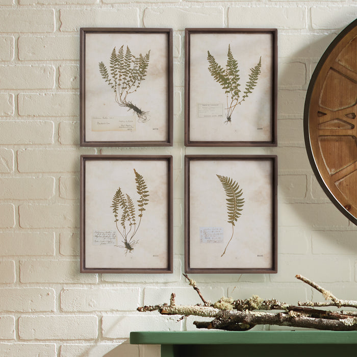 Petite Frond Prints, Set Of 4 - View 3