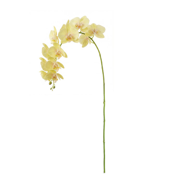 Phalaenopsis Orchid Stems 28" St/4