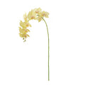 Phalaenopsis Orchid Stems 28" St/4
