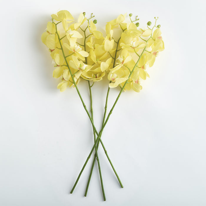 Phalaenopsis Orchid Stems 28" St/4 - View 2