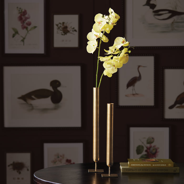 Phalaenopsis Orchid Stems 28" St/4 - View 4