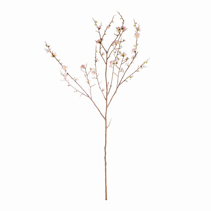 Pink Quince Blossom Branches 54", Set Of 2