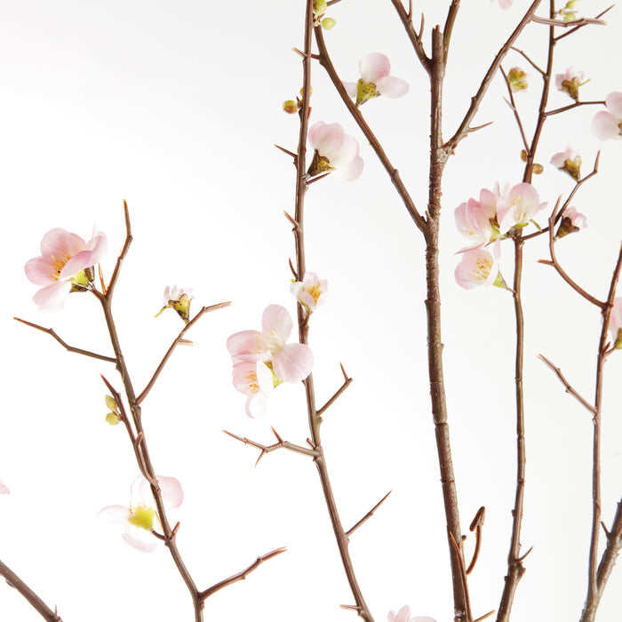 Pink Quince Blossom Branches 54", Set Of 2 - View 2