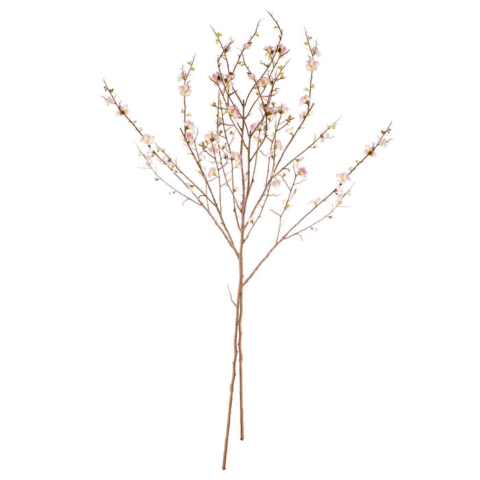 Pink Quince Blossom Branches 54", Set Of 2 - View 3