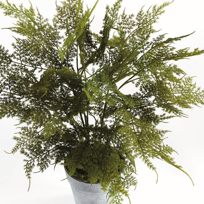 Plumosa Fern Drop-In 21" - View 2