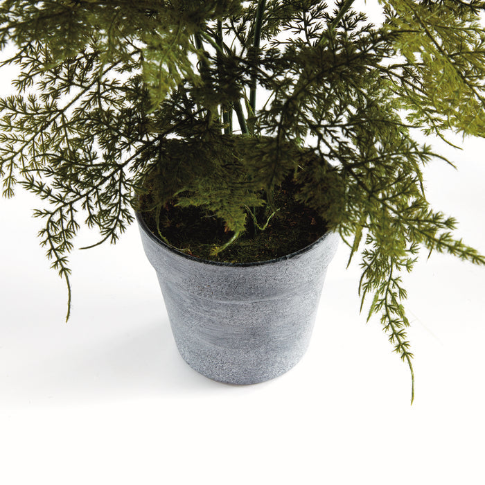 Plumosa Fern Drop-In 21" - View 3