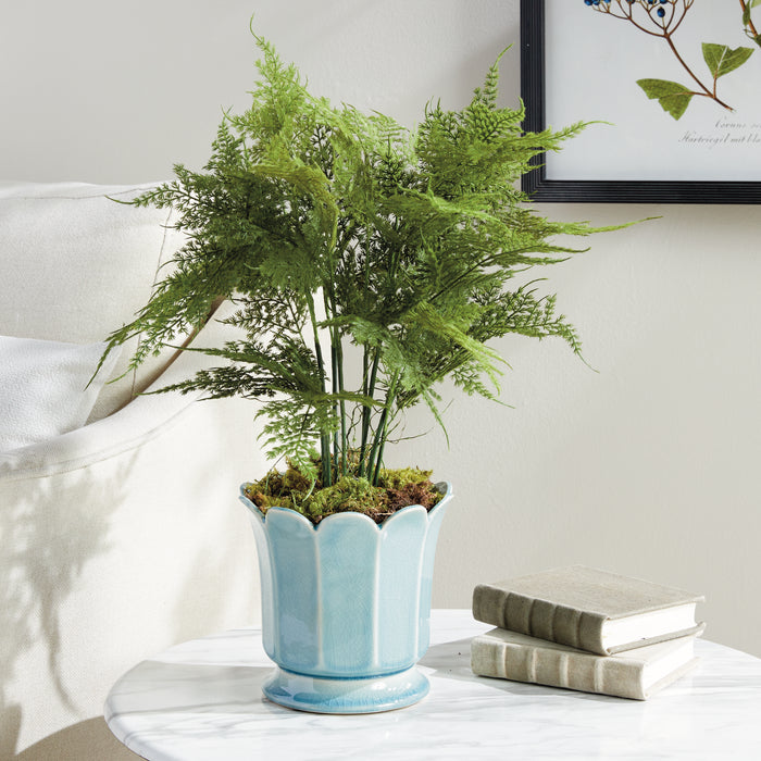 Plumosa Fern Drop-In 21" - View 6