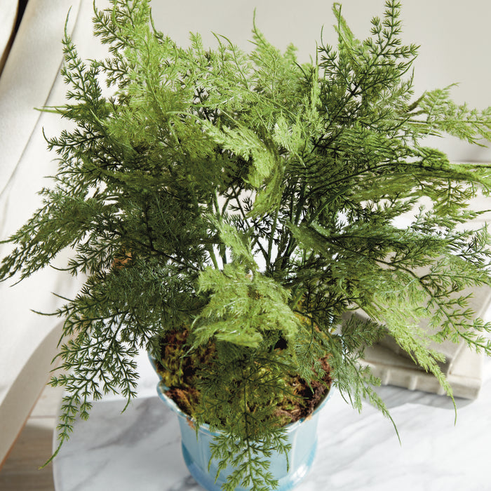 Plumosa Fern Drop-In 21" - View 7