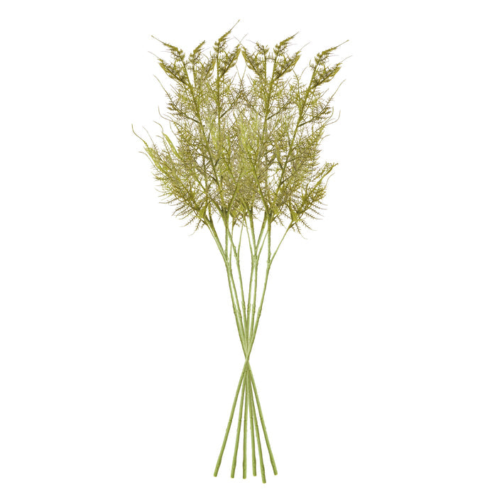 Plumosa Stems, Set Of 6 - View 3