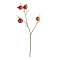 Pomegranate Branches 36" St/4