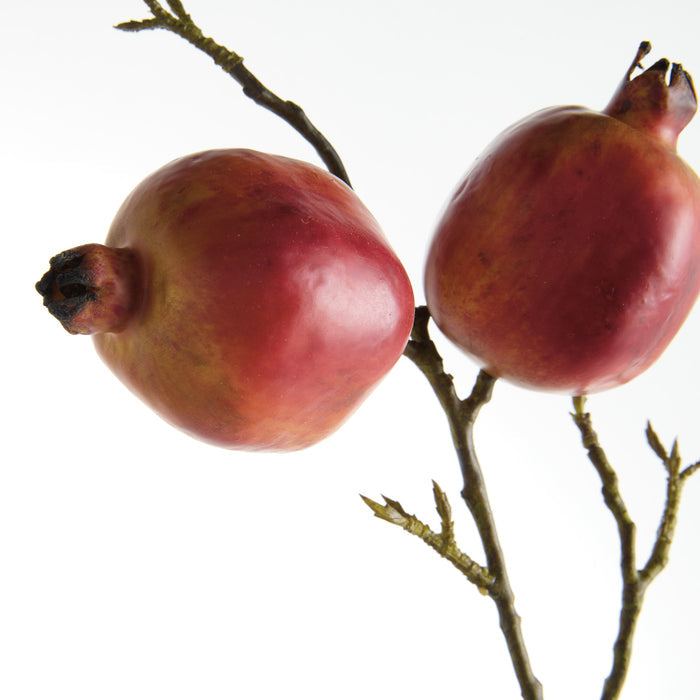 Pomegranate Branches 36" St/4 - View 3