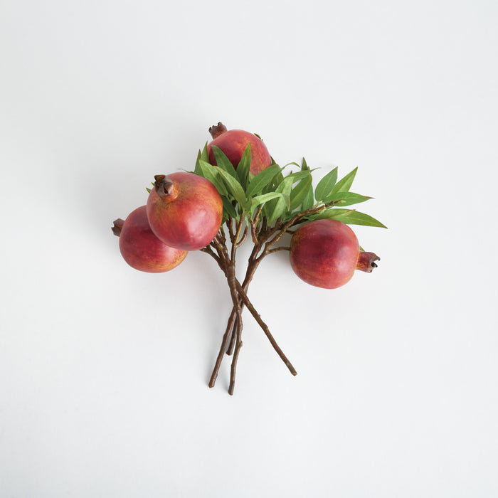Pomegranate Picks 10" St/4 - View 4