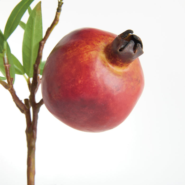 Pomegranate Picks 10" St/4 - View 5