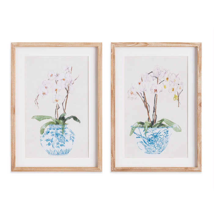 Potted Phalaenopsis Prints, Set Of 2