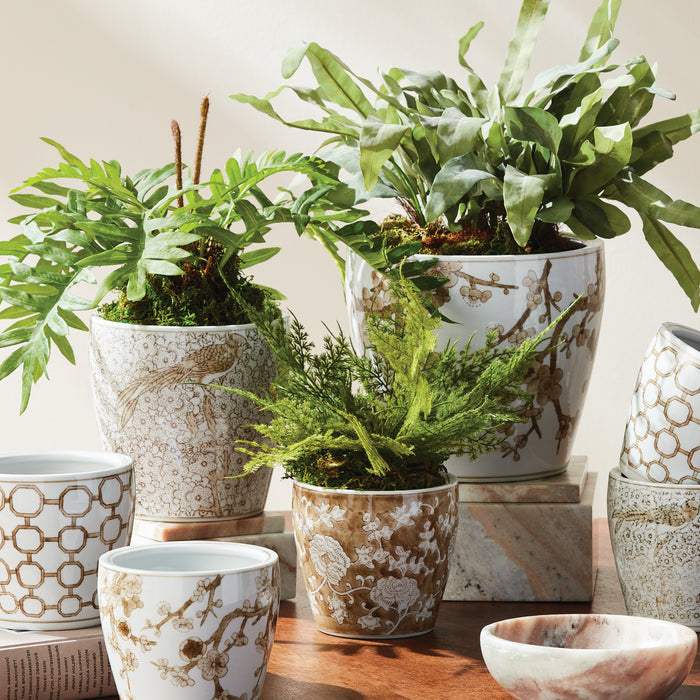 Province Flower Pots, Set Of 3 - View 7