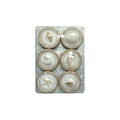 Resin Convex Magnets on Metal Card with Shells, Set of 6