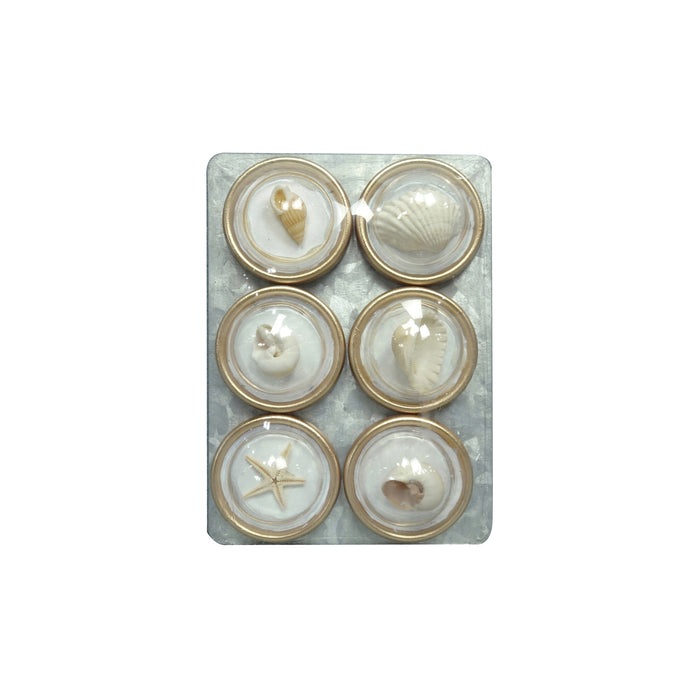 Resin Convex Magnets on Metal Card with Shells, Set of 6