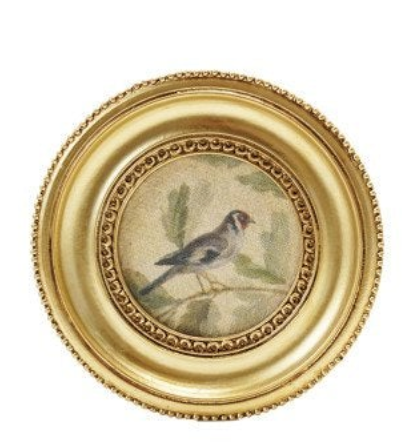 Circle Bird 2