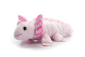 Scoopz Axolotl Pink 8" Plush by Zoologee