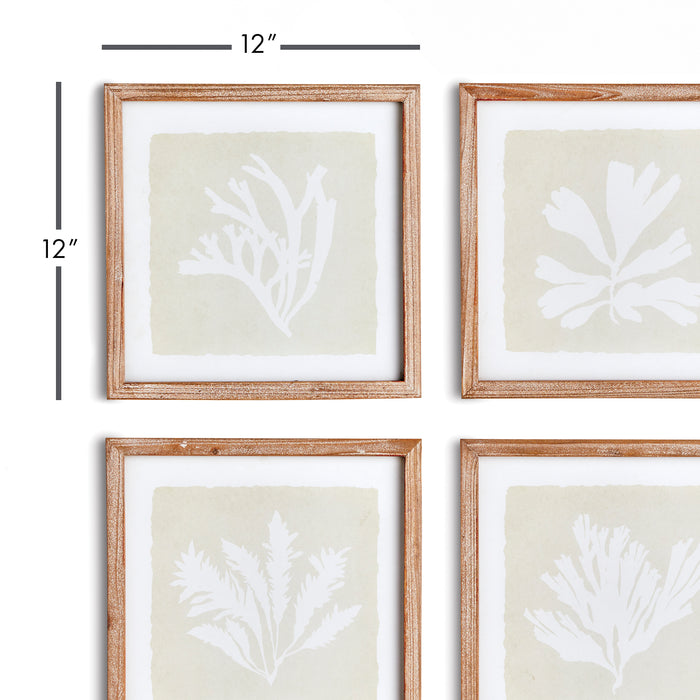Seaweed Petite Prints, Set Of 4 - View 3