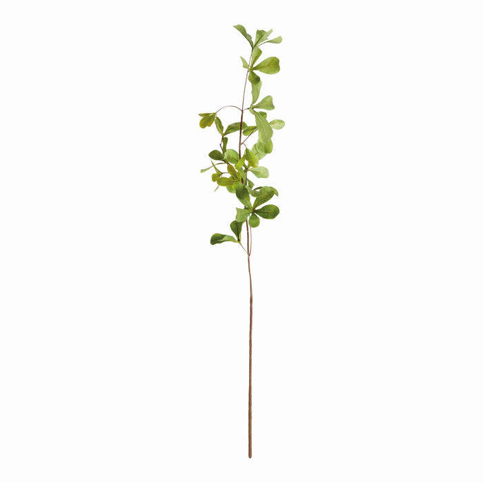 Shady Lady Black Olive Stems 28", Set Of 4