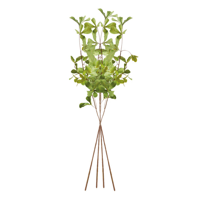 Shady Lady Black Olive Stems 28", Set Of 4 - View 2
