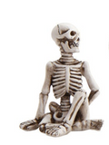 Skeleton in Yoga Pose, 5 Styles