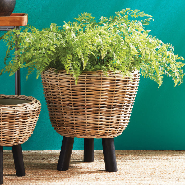 Soft Fern Drop-In 36" - View 2