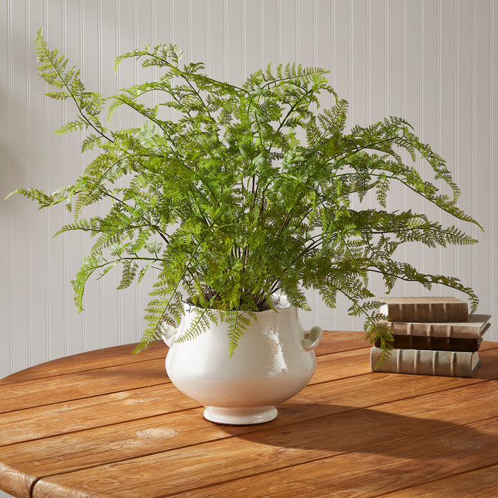 Soft Fern Drop-In 36" - View 3