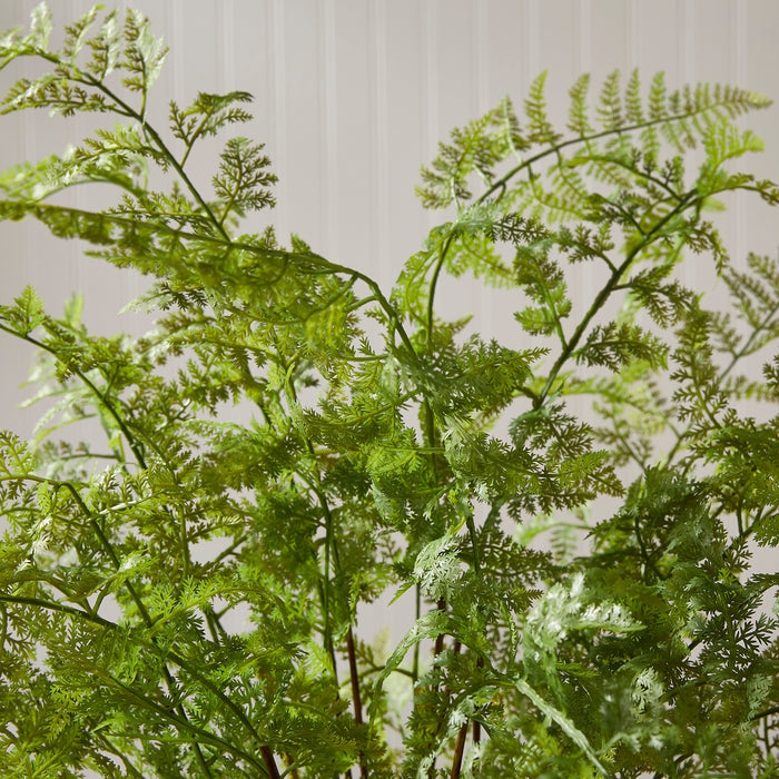 Soft Fern Drop-In 36" - View 4