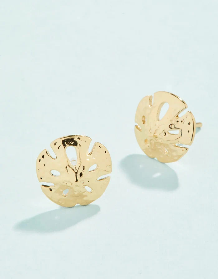 Spartina Sand Dollar Stud Earrings by Spartina 449