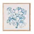 Translucent Coral Print