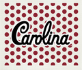 University of South Carolina 2 Swedish Cloth