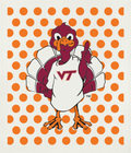 Virginia Tech University 2 Swedish Cloth