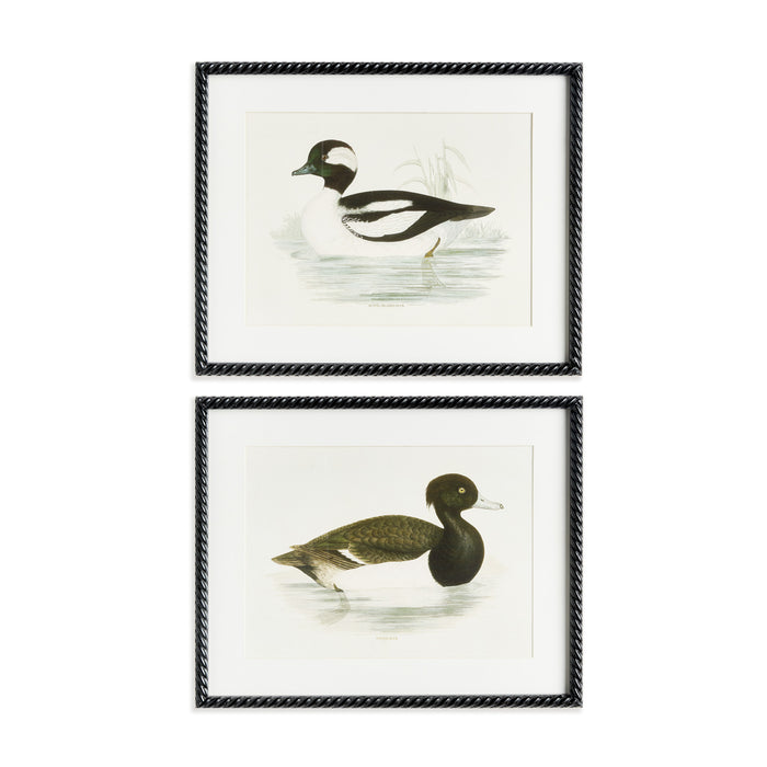 Wading Duck Prints St/2