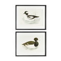 Wading Duck Prints St/2