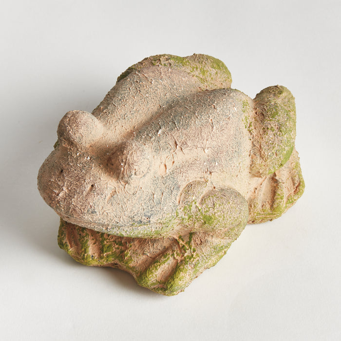Weathered Garden Frog - View 2